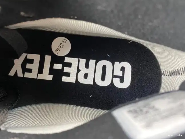 Rep DB2889-500 Element Gore-Tex 1 Jordan Air 0624